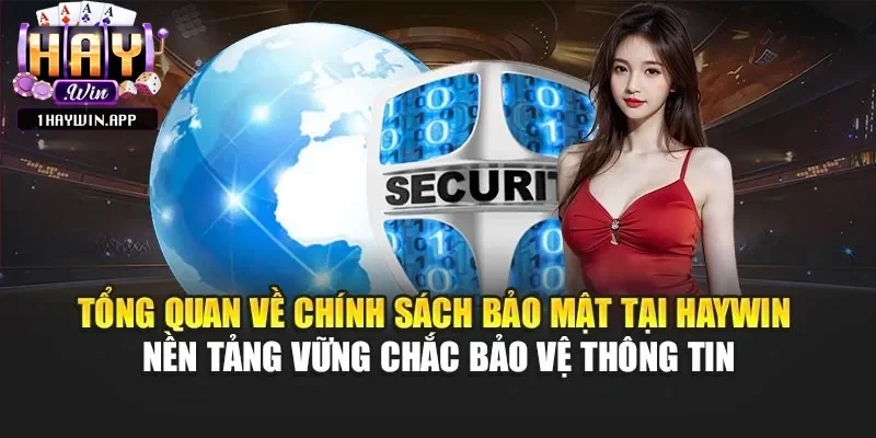Tổng quan về chính sách bảo mật tại Haywin