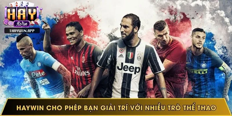 Thể Thao Cá Cược