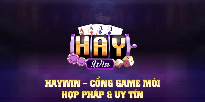 Tổng Quan Về Haywin