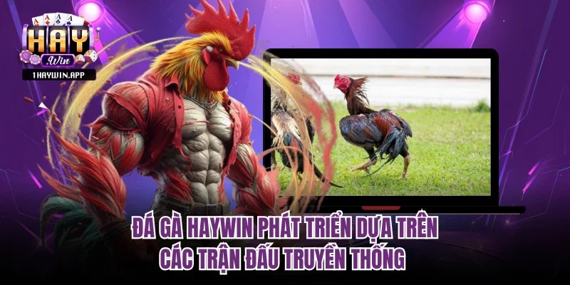 Đá Gà Haywin phát triển dựa trên các trận đấu truyền thống