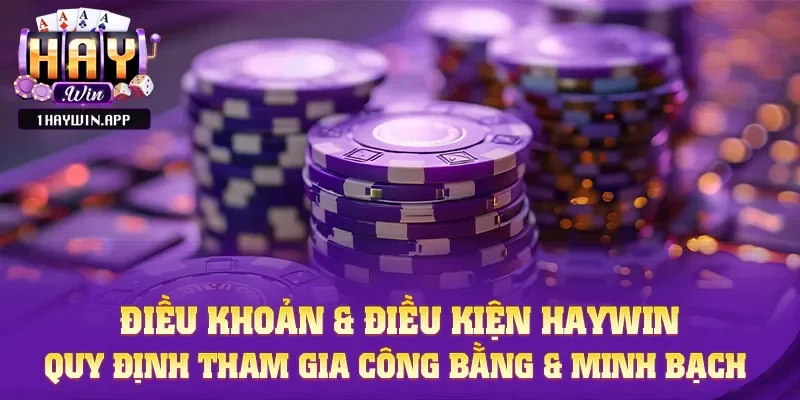 Tổng quan về điều khoản điều kiện tại Haywin