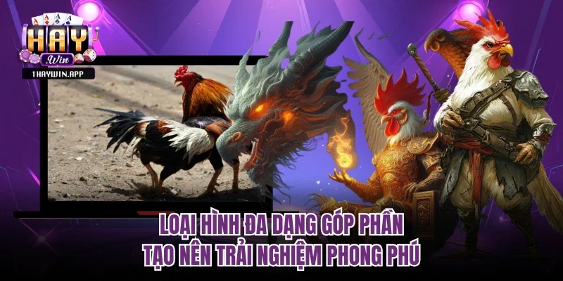 Loại hình đa dạng góp phần tạo nên trải nghiệm phong phú